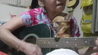 Let me be there...👵Cover by Malinda...👵