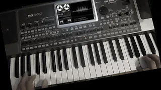 Мальчишник-Ночь  (Стиль в подарок) Korg Pa 900 Cover