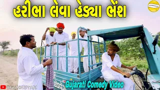 હરીભા લેવાં હેડ્યા ભેંશ//Gujarati Comedy Video//કોમેડી વિડીયો SB HINDUSTANI