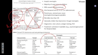 CNS infections 2 TR 112916