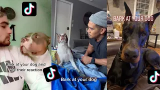 Bark At Your Dog To See Their Reaction | TikTok Challenge | TikTok Compilation