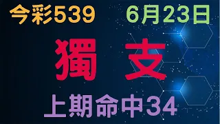 【今彩539】6月23日｜獨支｜少年狼539｜上期命中34