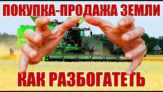 Как разбогатеть на покупке-продаже земли: Рынок земли