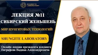 Лекция №11.  Сибирский женьшень.