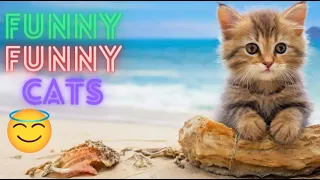 2 HOUR BEST FUNNY CATS COMPILATION 2024 😂| The Best Funny And Cute Cat Videos 35 !😸 😸