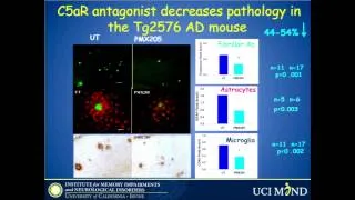 Andrea Tenner - Inflammation as a Therapeutic Target in Alzheimer's Disease