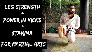 Can you survive a Martial Artist's Leg Strength Workout