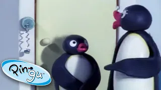 Pingu and the Broken Doorbell | Pingu Official | Cartoons for Kids