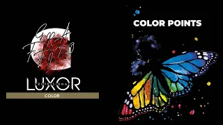 Luxor Professional Color Points жидкие прямые пигменты