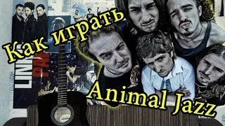 Animal ДжаZ - Три Полоски (Видео Урок Как Играть На Гитаре) Разбор