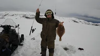 ПОЕЗДКА НА ЗИМНЮЮ МОРСКУЮ РЫБАЛКУ / WINTER SEA FISHING