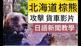 北海道 憤怒棕熊 衝撞 小貨車  新聞影像......簡單日語新聞(270)