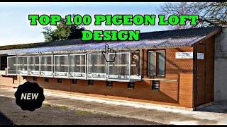 TOP 100 BEST PIGEON LOFT DESIGNS IN THE WORLD AS OF 2022