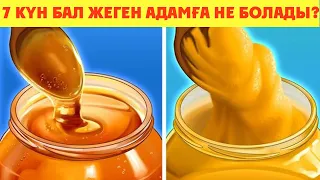 БАЛ 1 АПТАДА АҒЗАҢЫЗДЫ АДАМ ТАНЫМАСТАЙ ӨЗГЕРТЕДІ, Балдың пайдасы, Ара балы, Жөке балы, Керек арнасы,