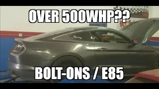 2018 5.0 Mustang Dyno - Texas Speed Headers - Amazing Numbers!