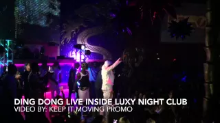 DING DONG LIVE INSIDE LUXY NIGHT CLUB