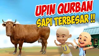 Upin ipin Kurban Sapi terbesar , ipin senang ! GTA Lucu