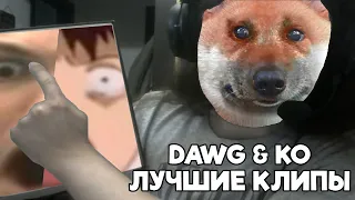 Dawg & Ko - Лучшие клипы