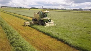 Gras mähen Alerheim - Krone BiG M 420