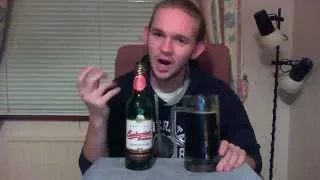 Beer Review #491: České Budějovice Czechvar Budweiser Budvar - Dark Tmavý Ležák (#Czech) #Beer