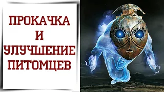 Всё о фамилиарах в Diablo Immortal | Гайд по питомцам