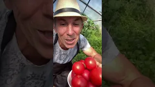 Ну очень вкусно, просто и быстро 🍅🍳 деревенский завтрак