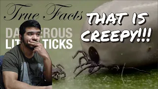 True Facts: Dangerous Little Ticks (zefrank1) CG Reaction