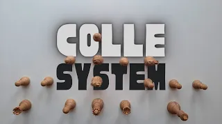 The Colle System - Plans, Structures, Patterns, Variations · Chess Openings