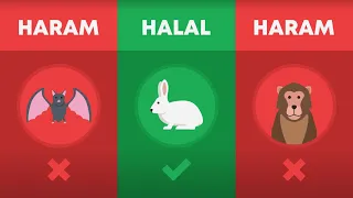 Halal and Haram Animals in Islam