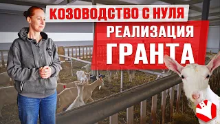 Козоводство с нуля 2 | Реализация гранта | Бизнес на козах