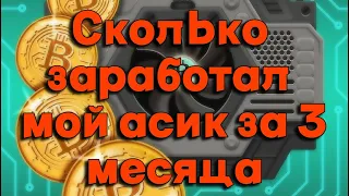 Майнинг на асике 2023 | Отчет по доходности за 3 месяца |