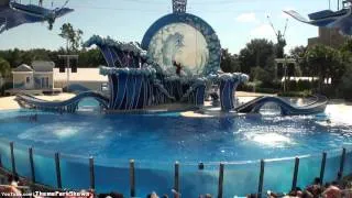 Blue Horizons Dolphin Show at SeaWorld Orlando