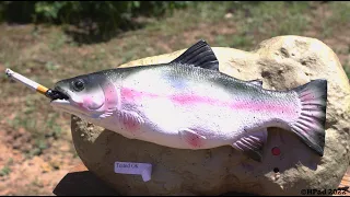 Travis the Singing Trout Destruction