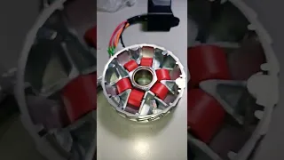 6.5 gram rollers variator