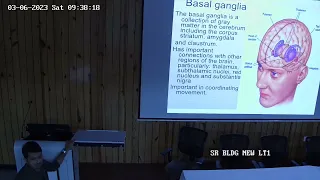 Basal Ganglia