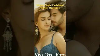 Ye Dil Kitni Baar Samjhayega Vikram Singh,Ye Dil Kitni Baar Samjhayega Vaishnavi #shorts #viral#song