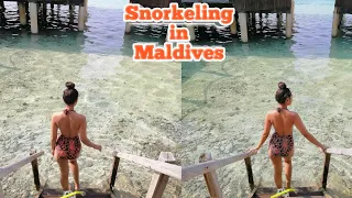 World's Best Snorkeling ||HEMBADHU || MALDIVES