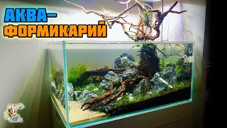 АКВАФОРМИКАРИЙ ● дом для муравьев, рыб и креветок