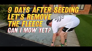 Why You Should Fleece Your Grass Seed // When Is a Newly Seeded Lawn Ready for its 1st Cut??