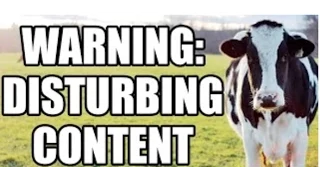 Shocking Video Of Cruelty To Milk Cows Released Warning! Disturbing Content!