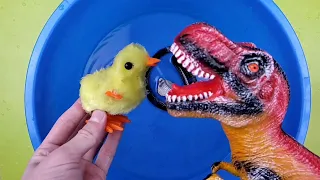 Learn Colors with Animals and Farm Surprise Toy for Kid Child with Foam Beads