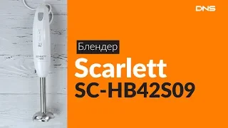 Распаковка блендера Scarlett SC-HB42S09 / Unboxing Scarlett SC-HB42S09