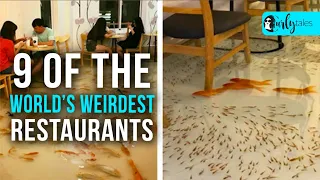 9 Of The World’s Weirdest Restaurants | Curly Tales