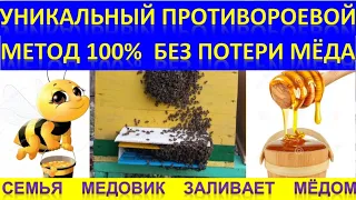 Уникальный противороевой 100% метод без потери мёда. Семья медовик.