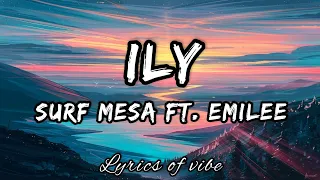 Surf Mesa - ILY( i love you baby) ( lyrics) ft. Emilee