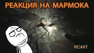 Реакция на Marmok | Blair Witch "Баги, Приколы, Фейлы"