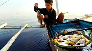 Kitang D'Nylon (Longline fishing)