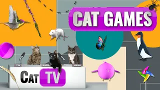 Кошачьи игры | Лучшая подборка Cat TV, том 15 | 60 игр в 1 | 2 ЧАСА | Игра для собак 🐇🎣🎈🦜🐜🐭🐝🐞🦋🦎