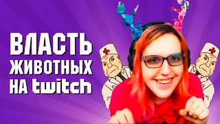 Twitch и проблемы с БАШКОЙ 🎮 ФЛУД #5