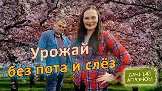 Не поливай грядки потом и слезами!